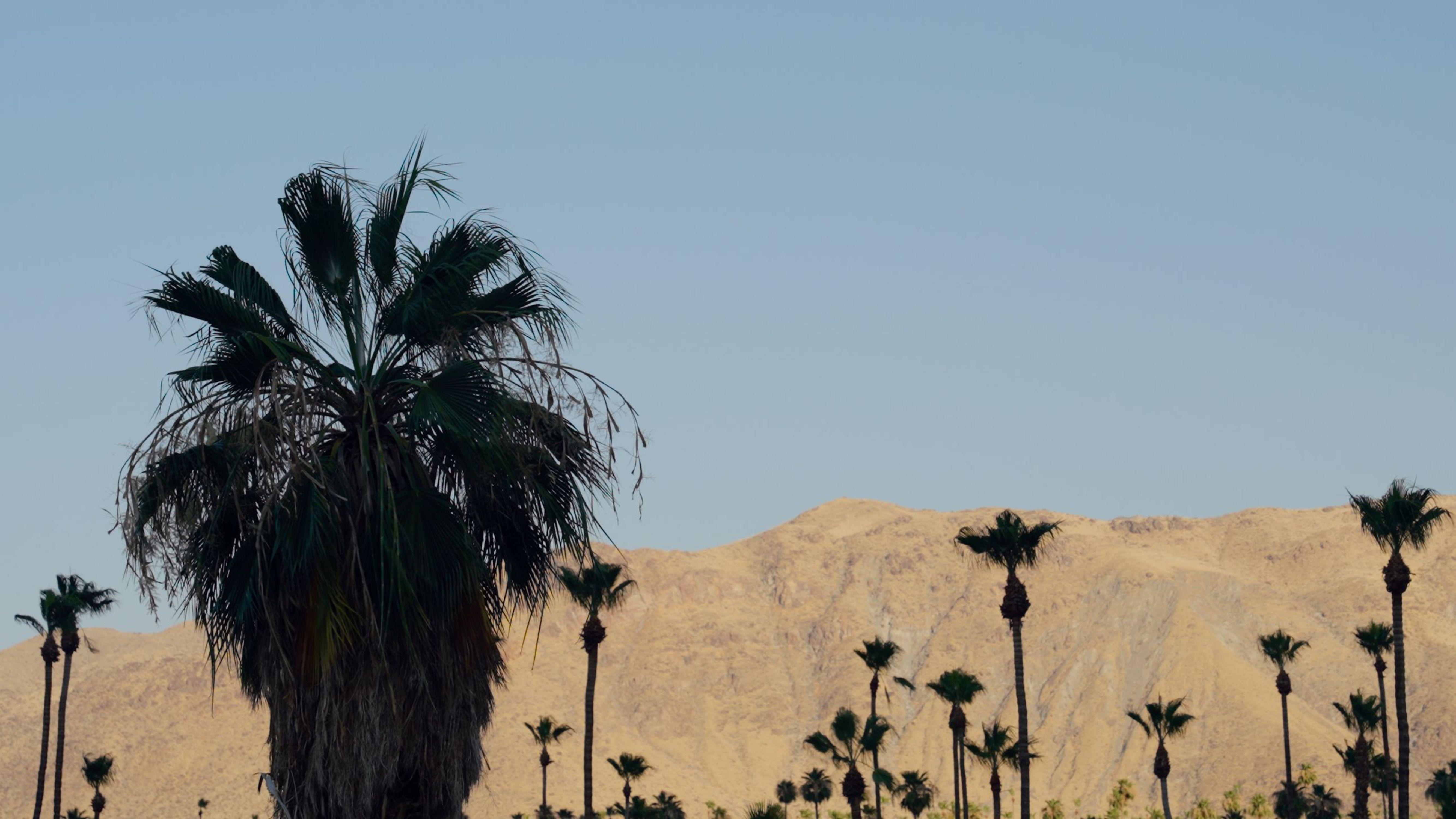 Royal Sun Palm Springs Otel Dış mekan fotoğraf