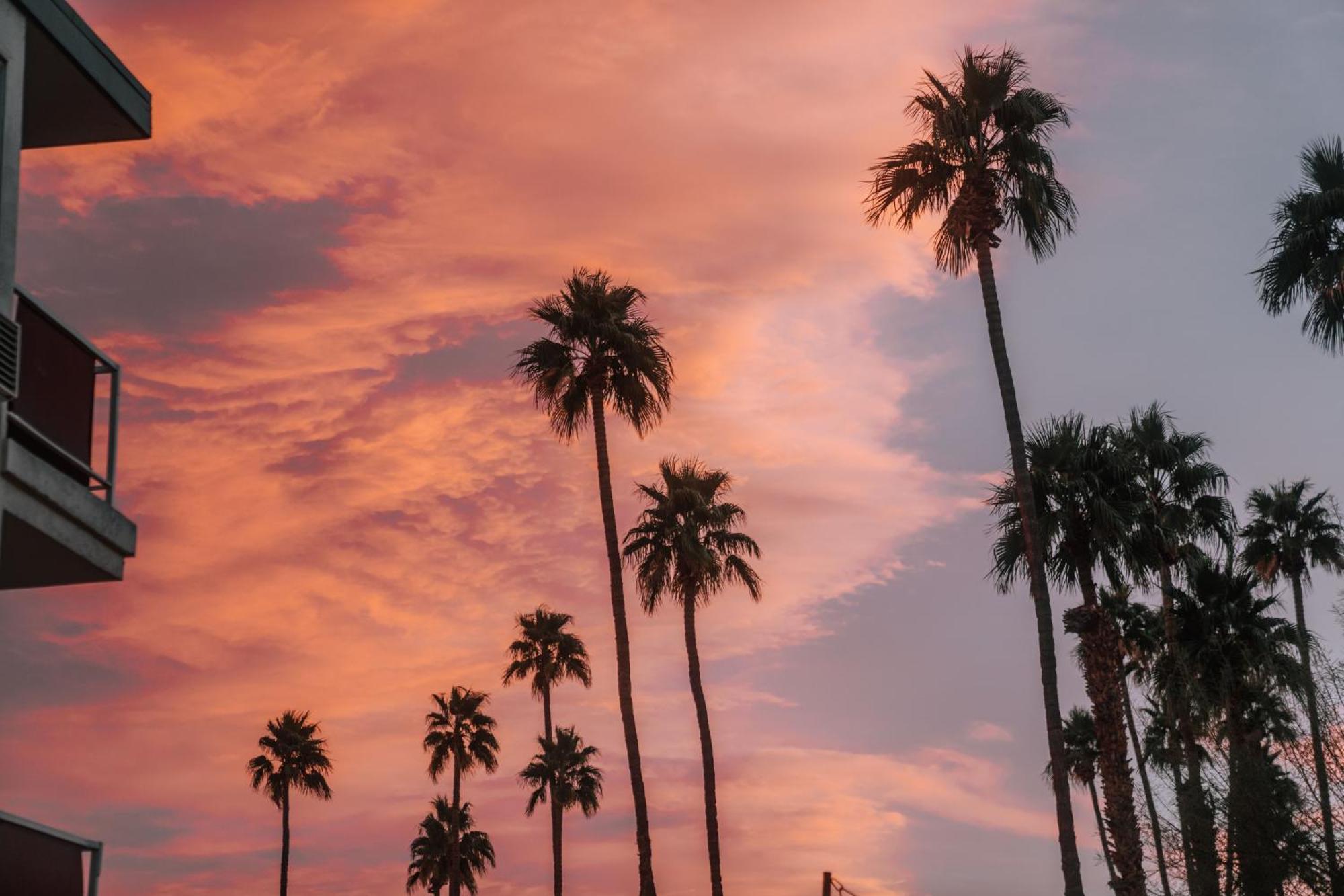 Royal Sun Palm Springs Otel Dış mekan fotoğraf